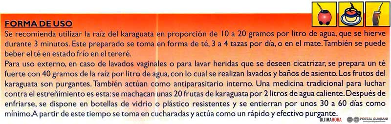 Portal Guaraní Karaguata Obra De Investigación Prof Dr HernÁn Candia RomÁn 6577